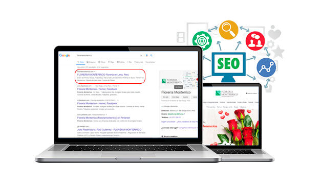 especialistas seo